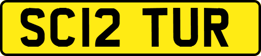 SC12TUR