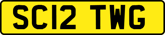 SC12TWG