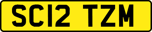 SC12TZM