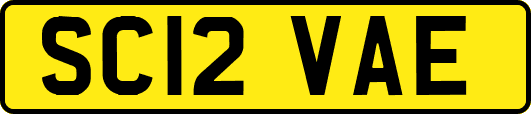 SC12VAE