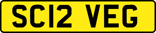 SC12VEG