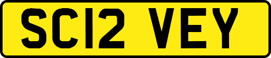 SC12VEY