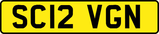 SC12VGN