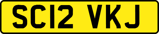 SC12VKJ
