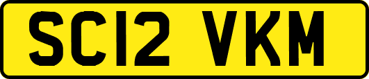 SC12VKM