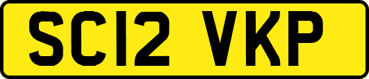 SC12VKP