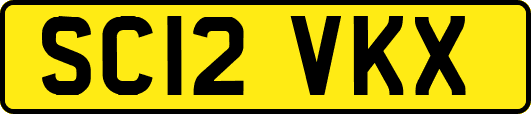 SC12VKX