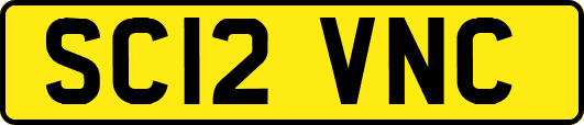 SC12VNC