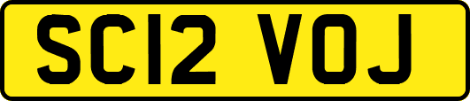 SC12VOJ
