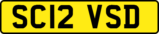 SC12VSD