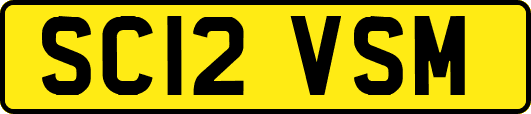 SC12VSM