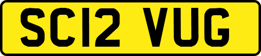 SC12VUG