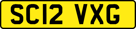 SC12VXG