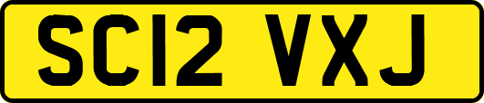 SC12VXJ