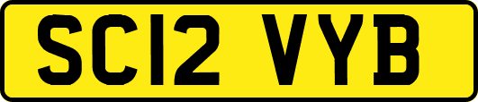 SC12VYB