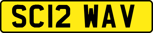 SC12WAV