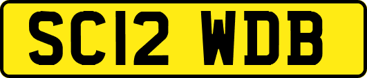 SC12WDB