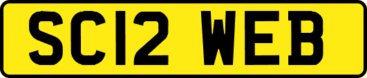 SC12WEB