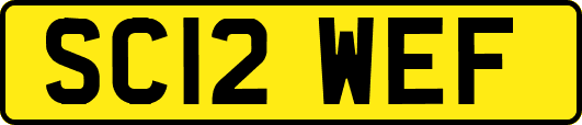 SC12WEF