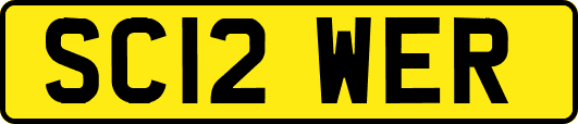 SC12WER