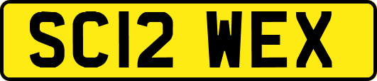 SC12WEX