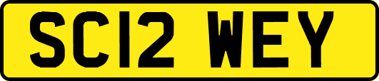 SC12WEY