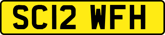 SC12WFH
