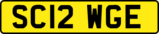 SC12WGE