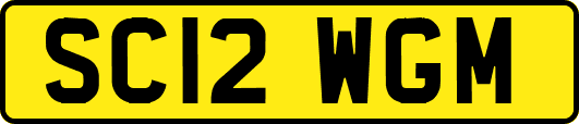 SC12WGM