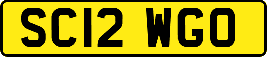 SC12WGO