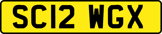 SC12WGX