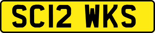 SC12WKS