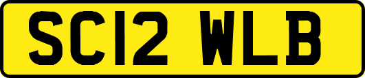 SC12WLB