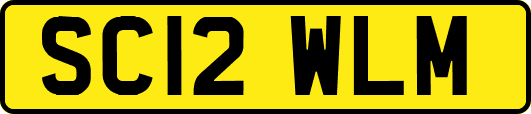 SC12WLM