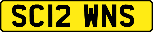 SC12WNS
