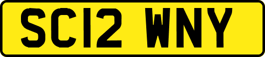SC12WNY