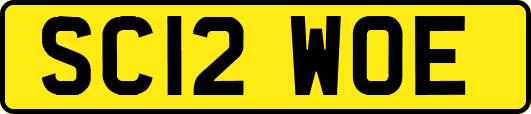 SC12WOE
