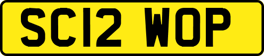 SC12WOP