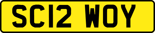 SC12WOY