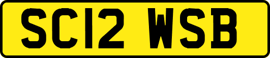 SC12WSB