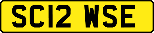 SC12WSE