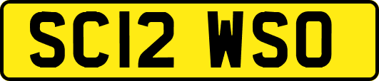 SC12WSO