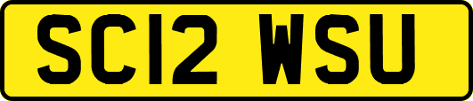 SC12WSU