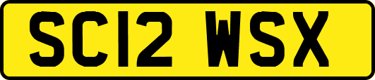 SC12WSX