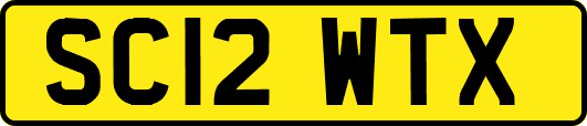 SC12WTX