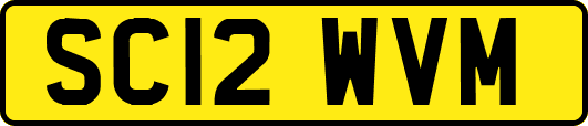 SC12WVM