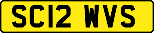 SC12WVS