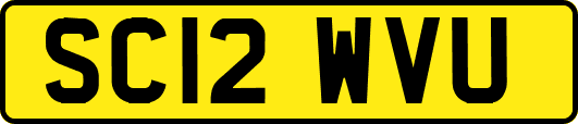 SC12WVU