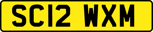 SC12WXM