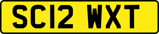 SC12WXT